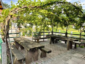 Eine Holzbank unter einer mit Weinreben bewachsenen Pergola in einem Garten.