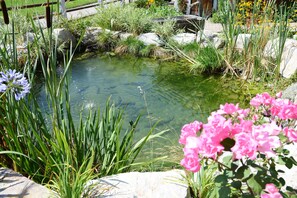 A small pond surrounded by rocks and plants, with a metal fence in the background. - Apartment 'Hitscherhof - Abart' with Balcony and Wi-Fi (Söll)