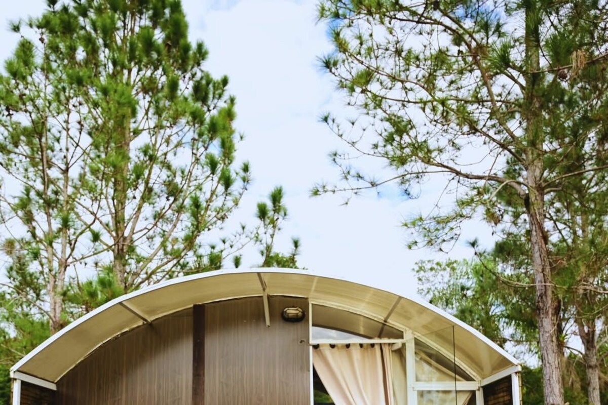 A small, single-room structure with a curved roof, a sliding glass door, and a wooden exterior.