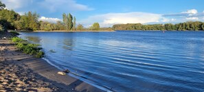 Un lago tranquilo con orilla arenosa y árboles al fondo.