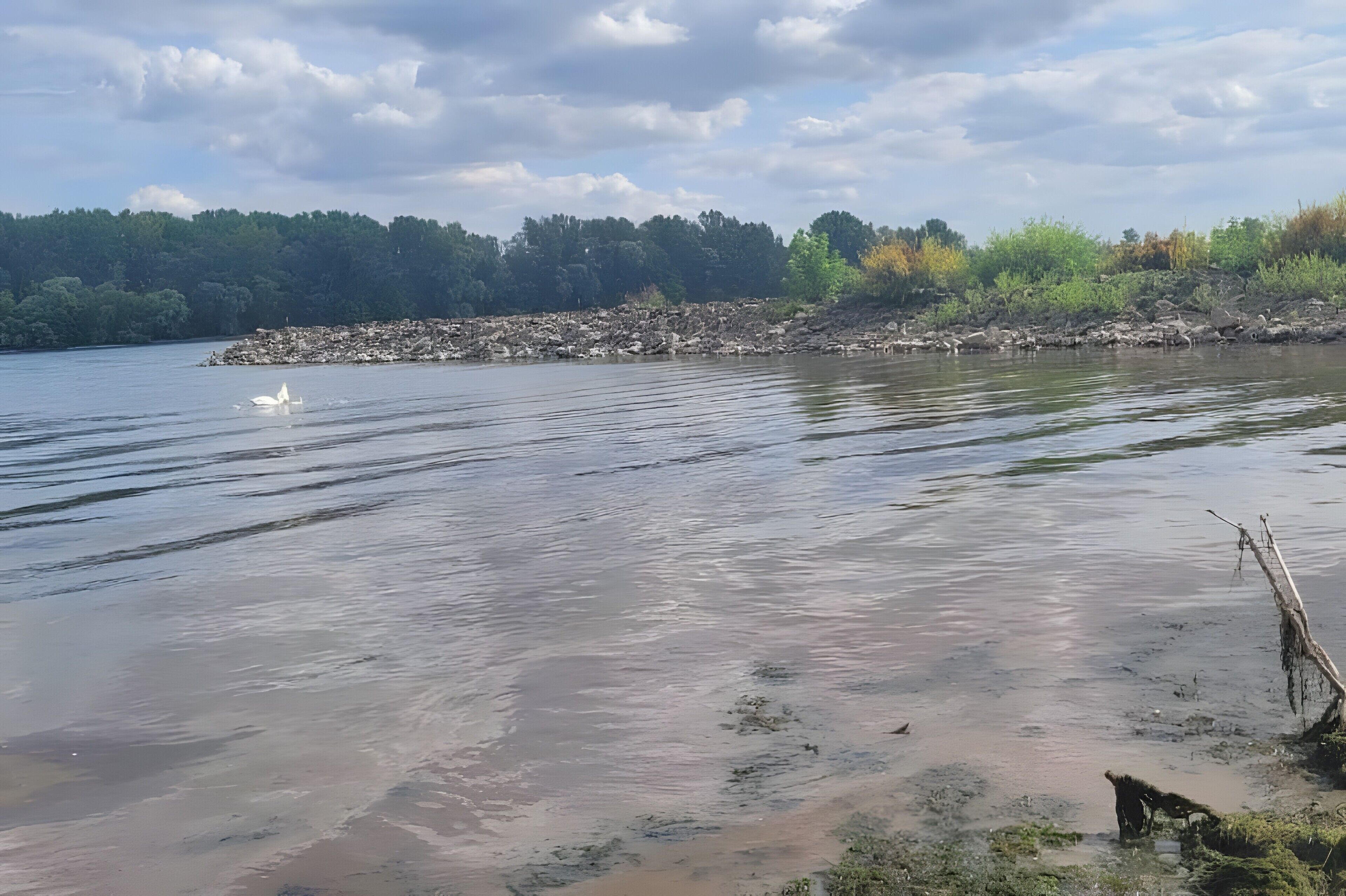 Un lago tranquillo con una sponda rocciosa e alberi sullo sfondo.
