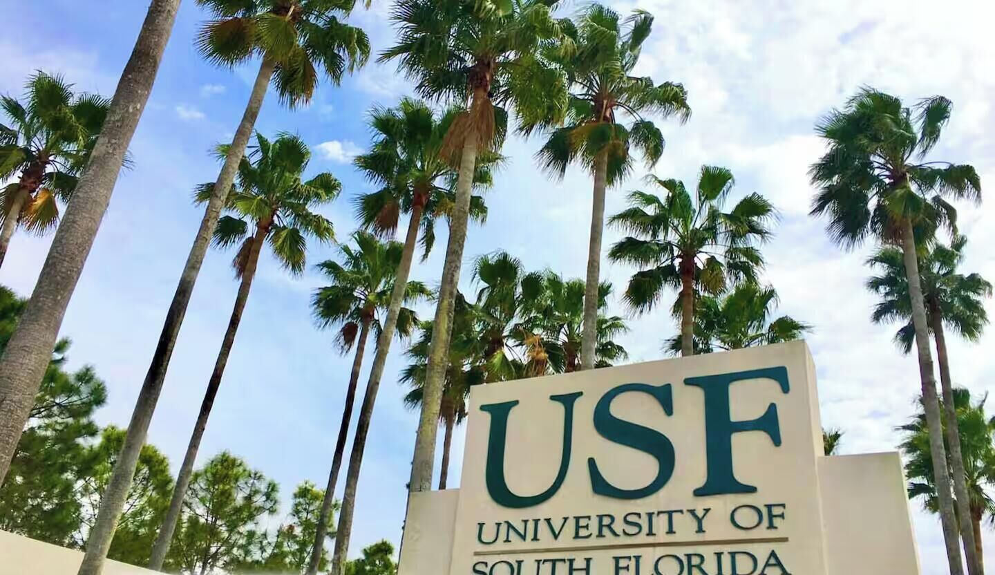 En skylt för University of South Florida, med palmer i bakgrunden.