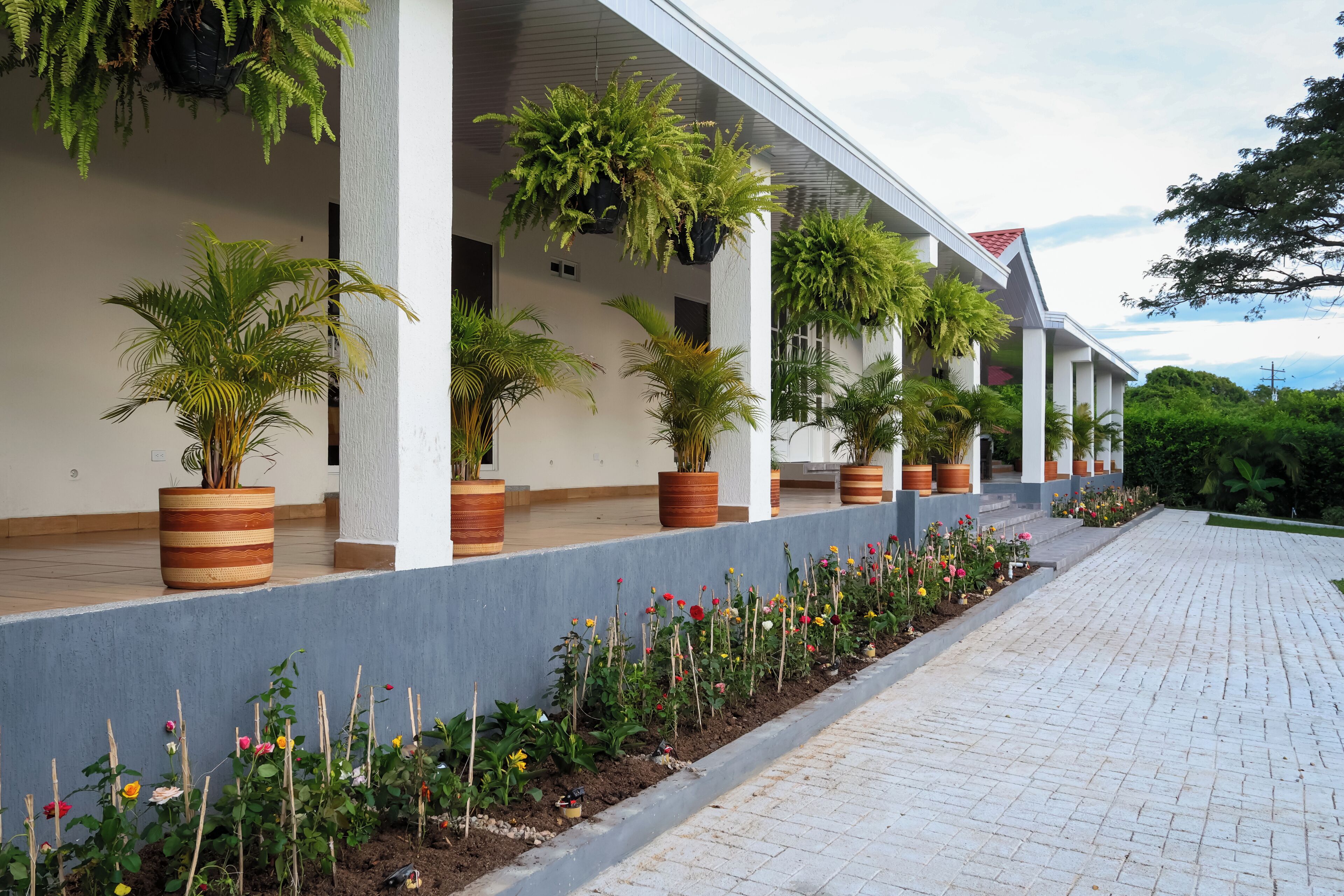 Un espace extérieur abrité, agrémenté de plantes et de fleurs en pot le long du chemin.