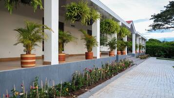 Un espace extérieur abrité, agrémenté de plantes et de fleurs en pot le long du chemin.