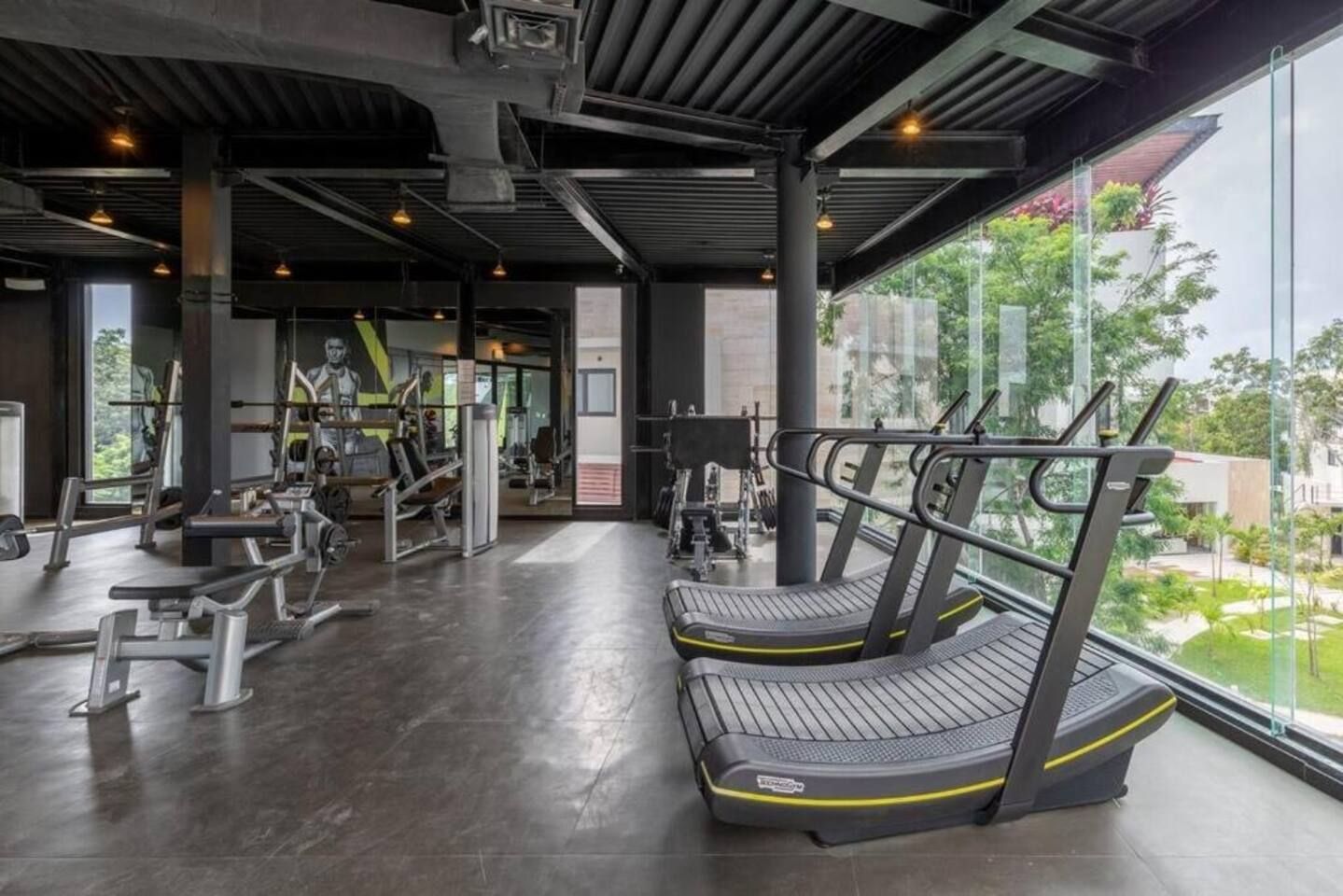 A gym with treadmills, weight machines, and a large window overlooking a green area.