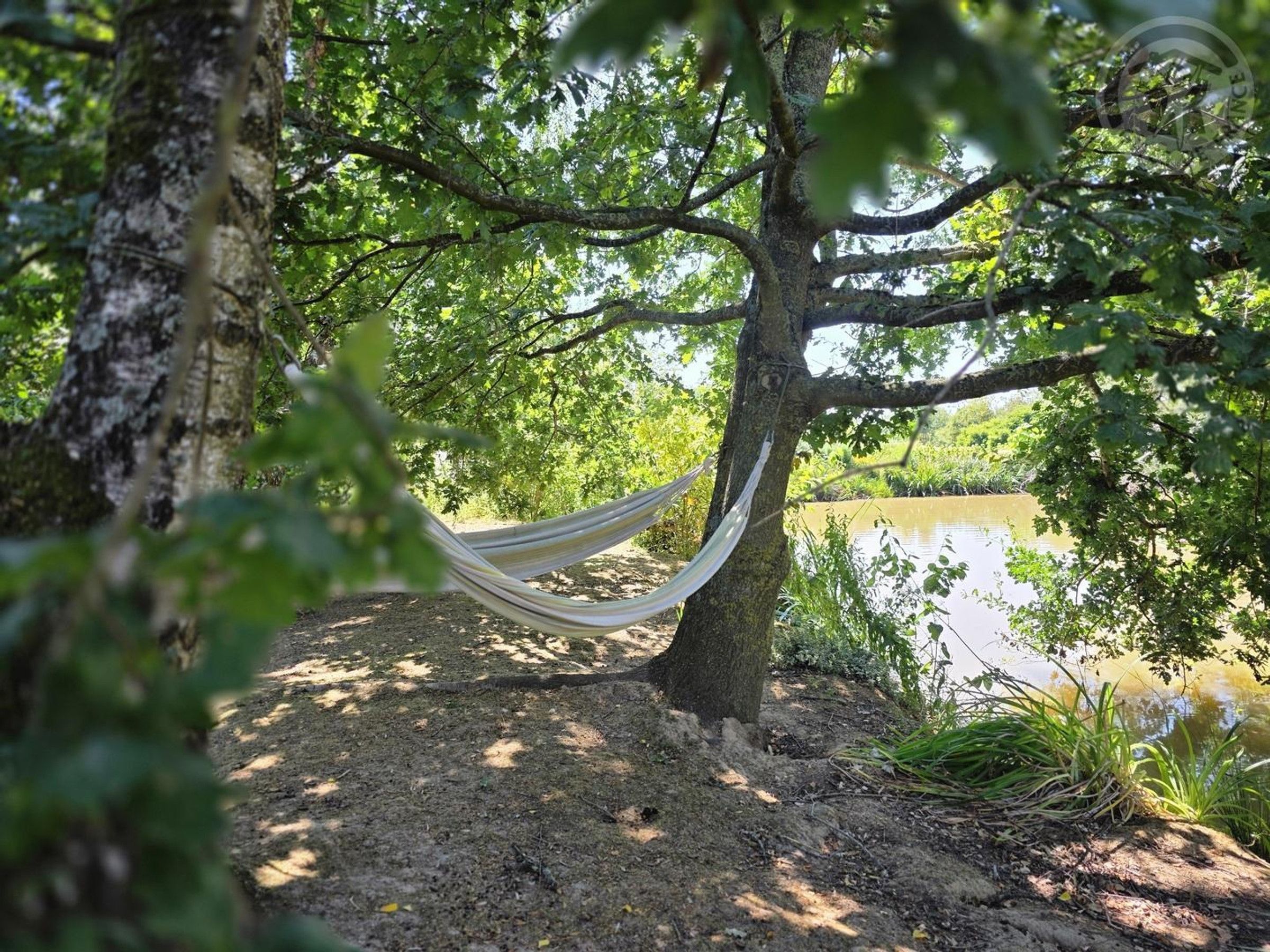 A hammock tied between trees in a natural setting with a body of water in the background.