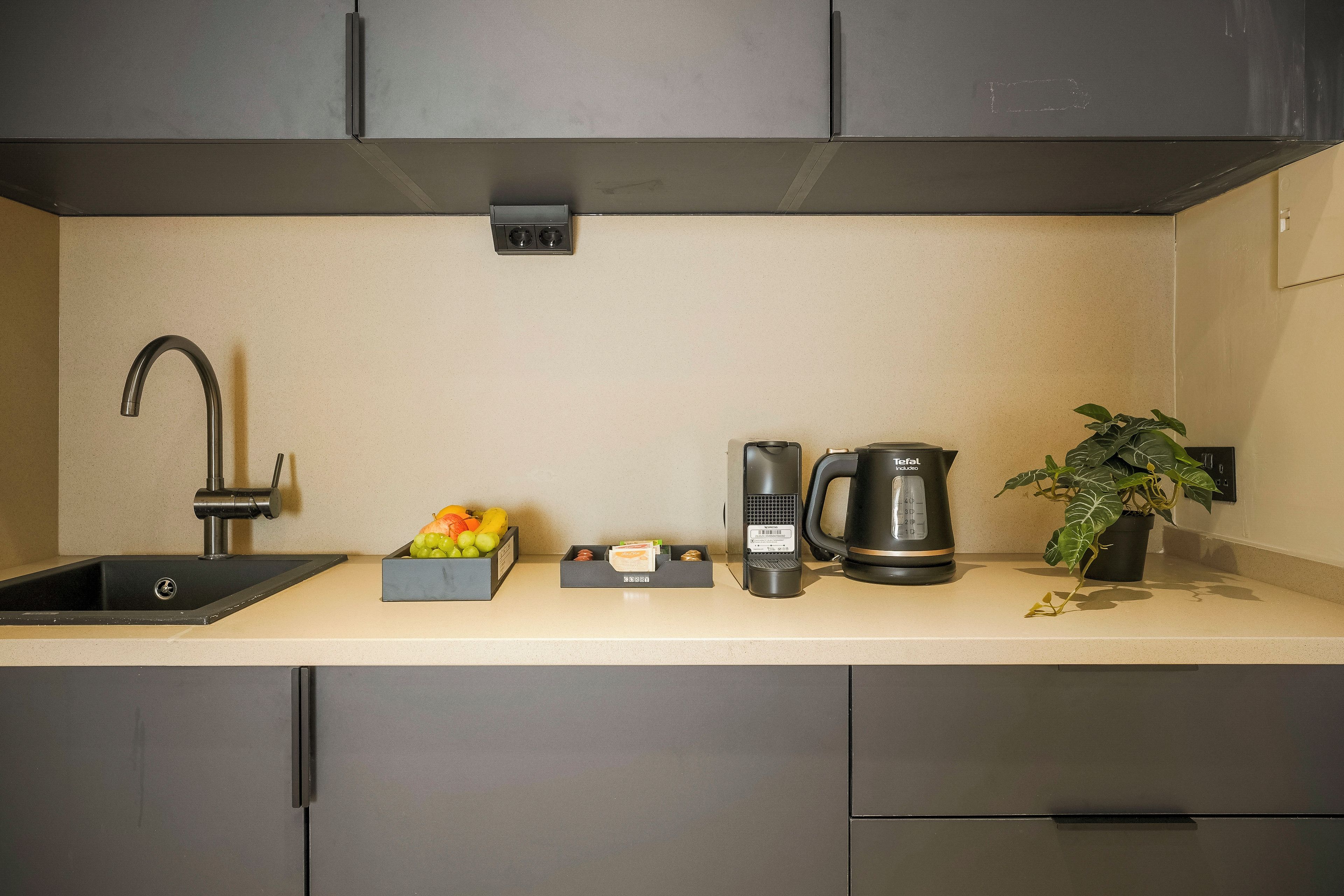 A kitchen with a sink, a coffee maker, a fruit bowl, and a potted plant.