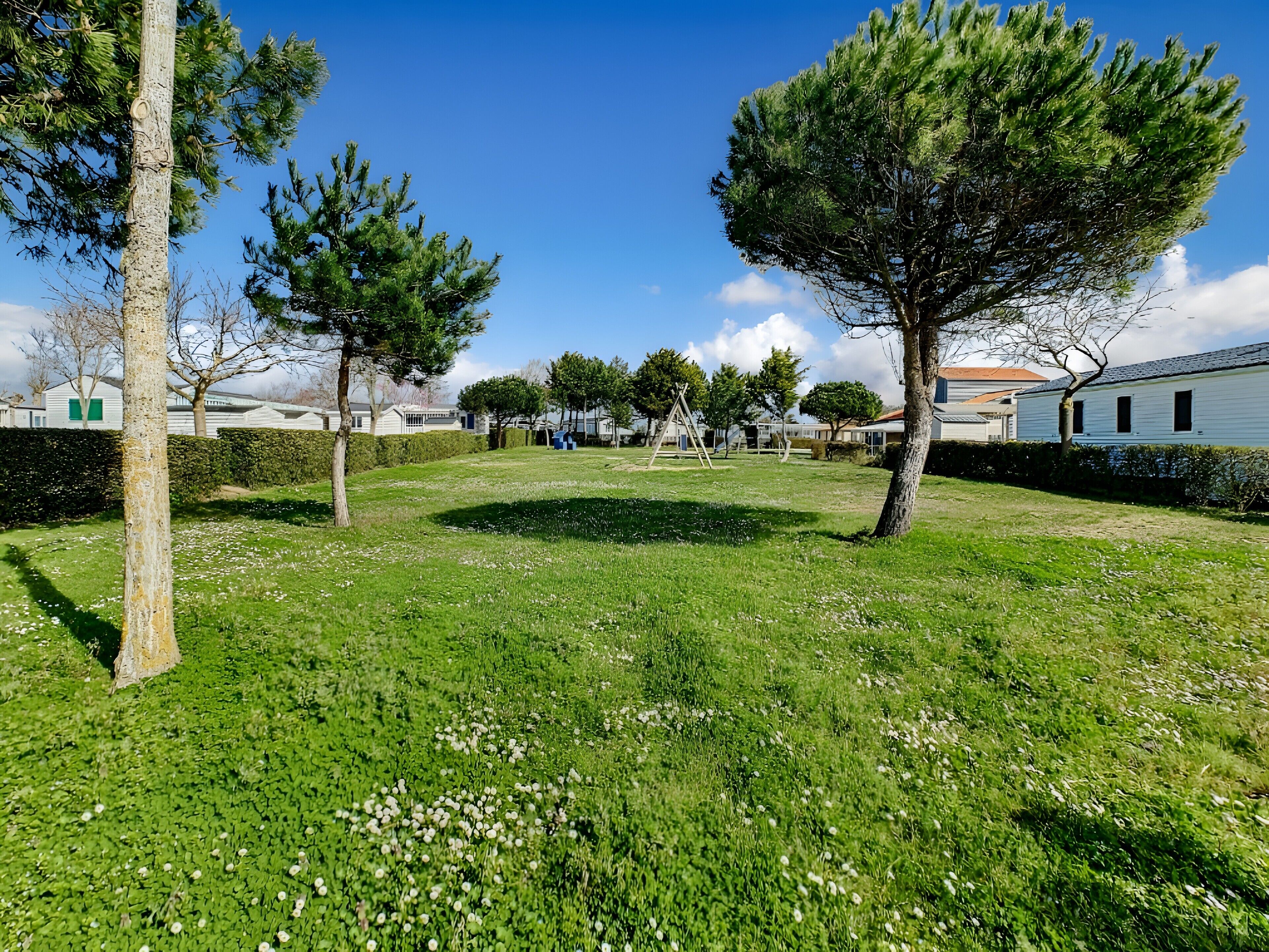 A grassy outdoor area with trees and a swing set.