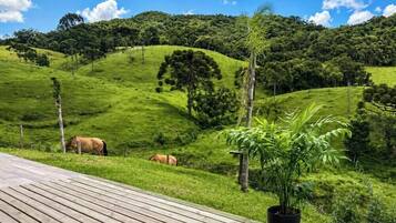 Una ladera cubierta de hierba con una terraza de madera al frente y caballos pastando al fondo.