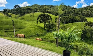 A grassy hillside with a wooden deck in the foreground and horses grazing in the background.