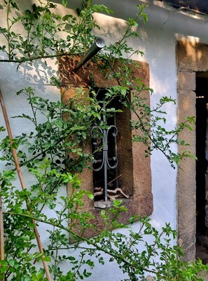 A window with a decorative iron grille, surrounded by greenery.