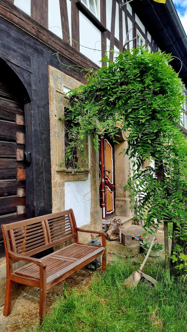 A wooden bench outside a building with a partially open door and a vine-covered wall.