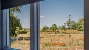 Vista desde una ventana a un paisaje rural con árboles y una cerca.