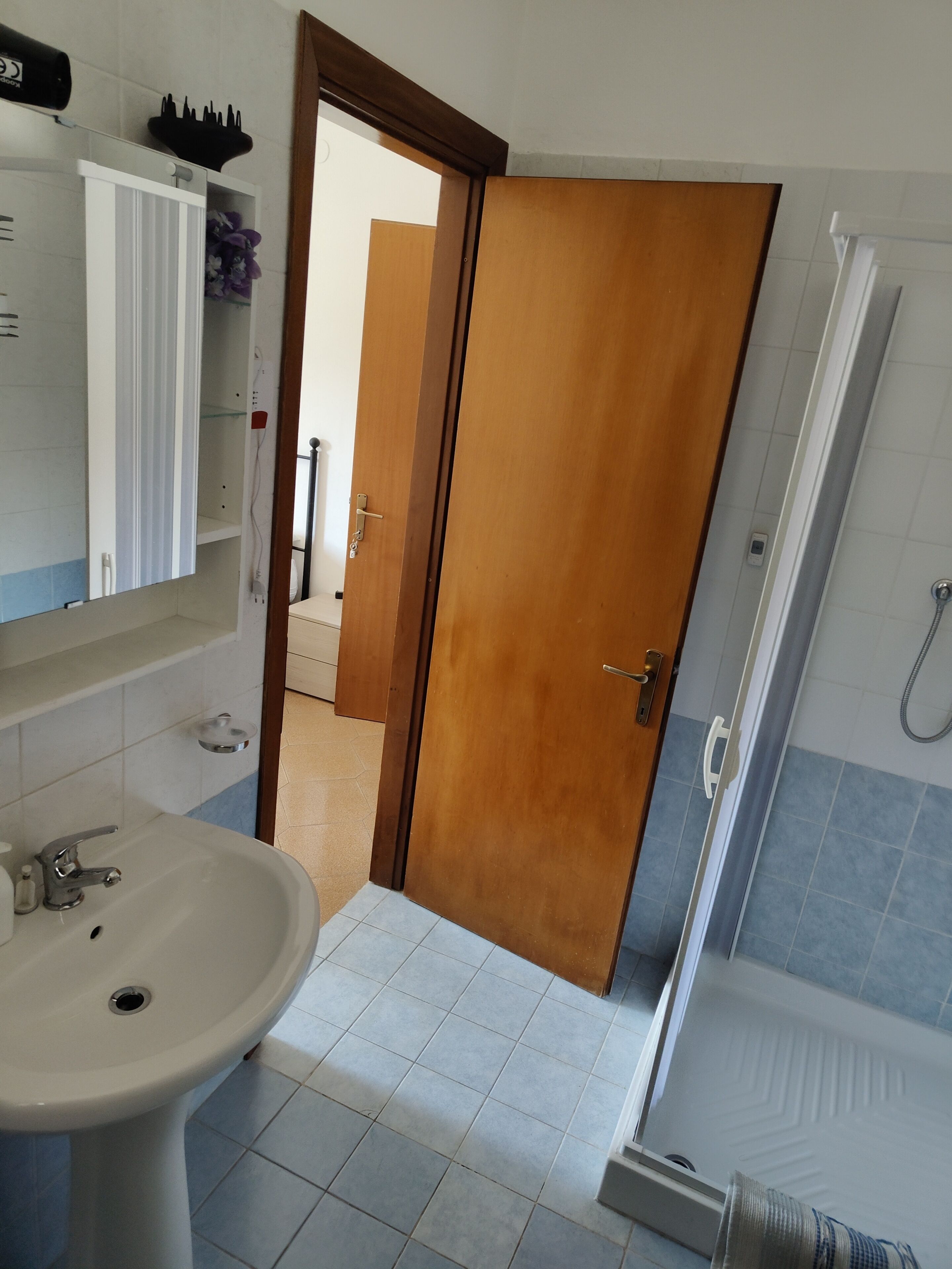Une salle de bain avec un lavabo, un miroir, une douche et une porte en bois.