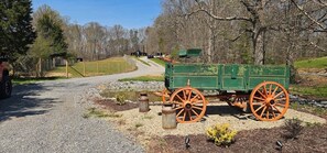 Unclassified image, 5 of 22, button - Tin Can Castle on a Fallow Deer Farm (Sevier County)