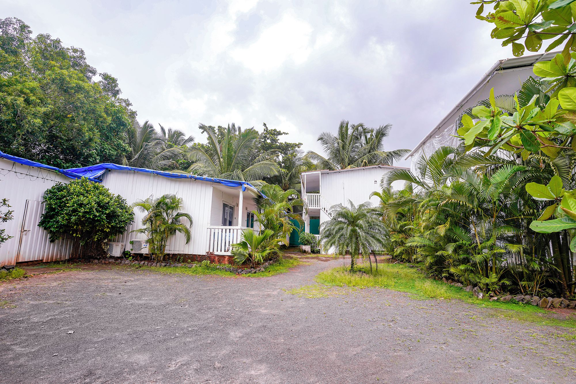 Una zona residencial con edificios blancos, un camino de grava y exuberante vegetación tropical.