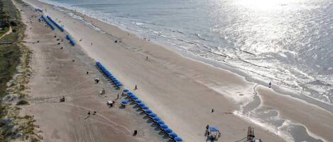 Una playa con una larga hilera de sombrillas y sillas de playa azules, una orilla arenosa y el océano al fondo.