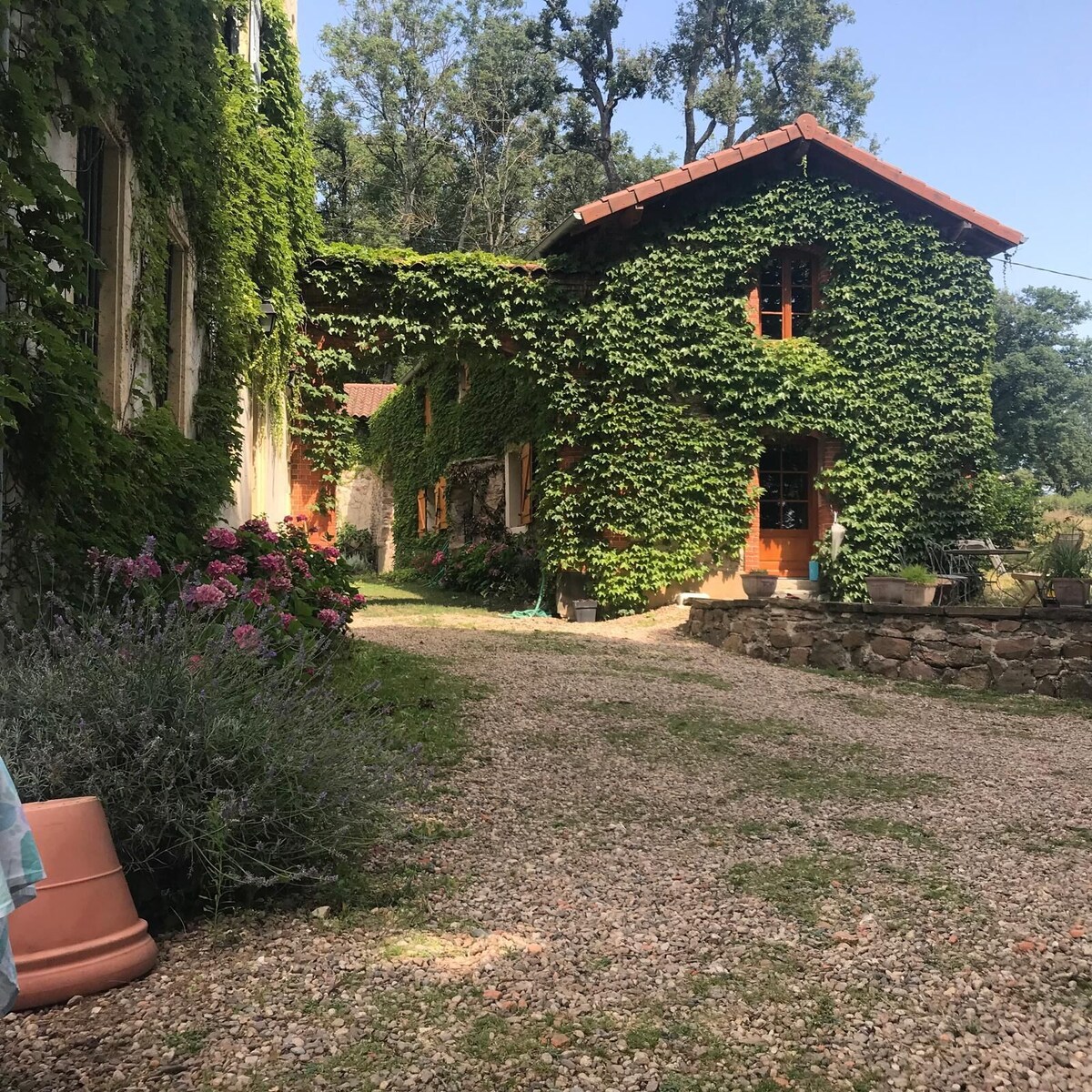 Image de profil de l’hôte