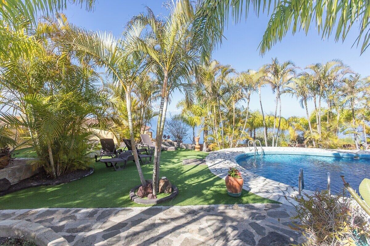 A pool area with palm trees, a stone pathway, and a view of the ocean.