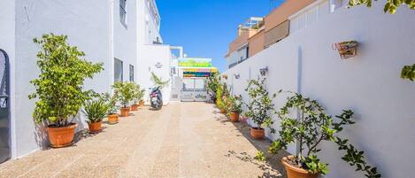 A narrow street with potted plants lining the sides, a clear blue sky, and a building with a colorful awning in the distance.