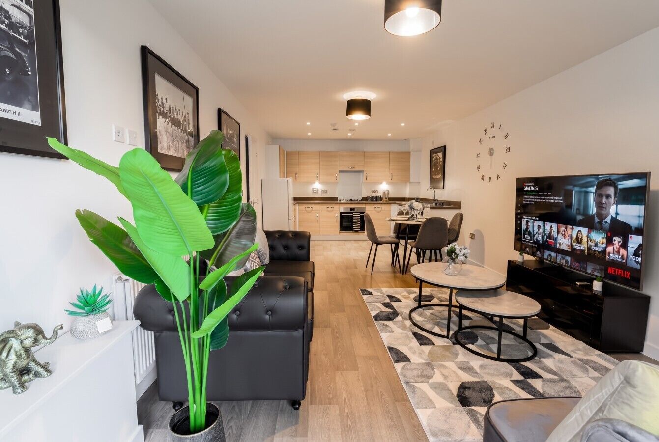 A modern living room with a large plant, a sofa, a coffee table, and a television.