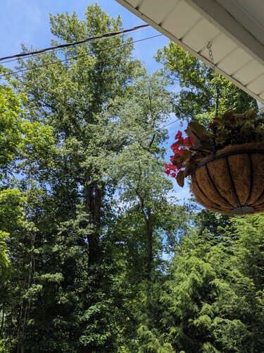 Cozy 1-bedroom studio in the beautiful town of Clintwood, Virginia.