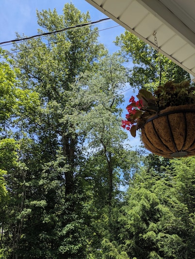 Cozy 1-bedroom studio in the beautiful town of Clintwood, Virginia.