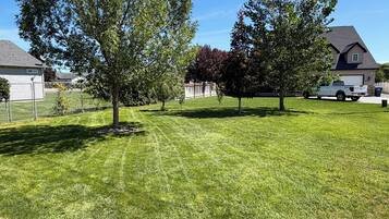 A well-maintained lawn with trees and a white pickup truck parked in the driveway.