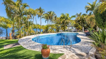 A circular pool with a stone edge, surrounded by palm trees and a view of the sea.