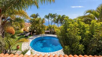 Una piscina circular con borde de piedra, rodeada de exuberante vegetación y palmeras, bajo un cielo azul despejado.