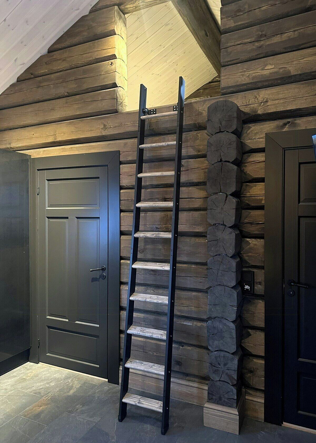 Un intérieur en bois avec une échelle métallique adossée à un mur de pierre, deux portes sombres et un plafond en pente.