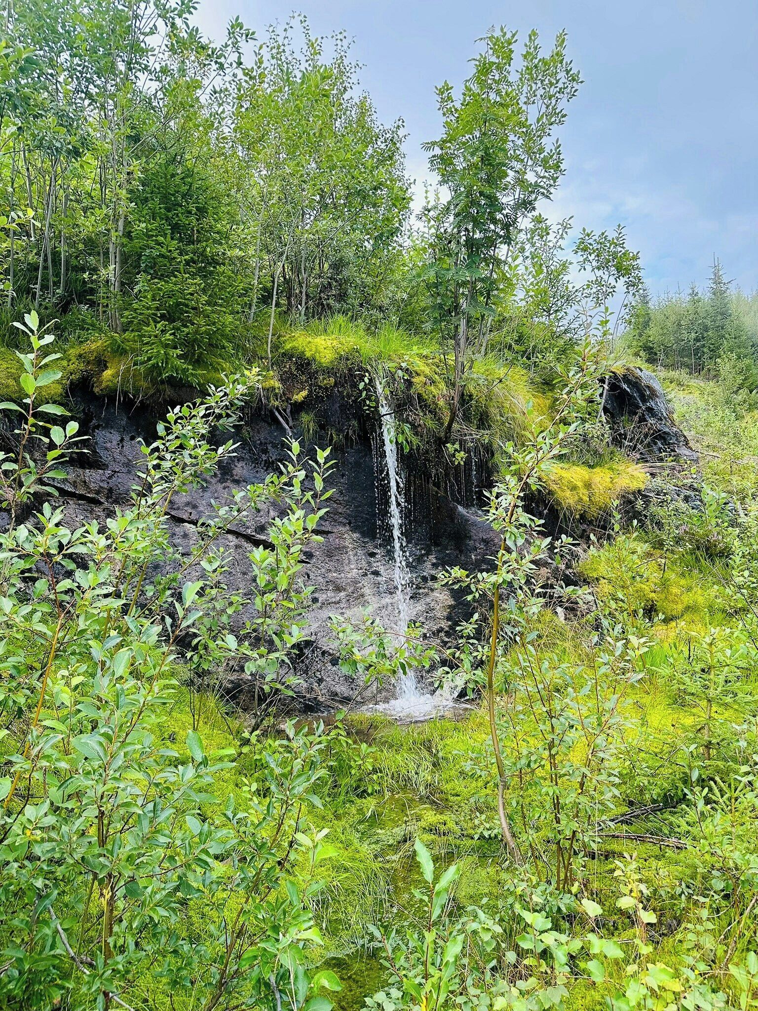 A natural landscape with a waterfall, dense greenery, and a rocky terrain.