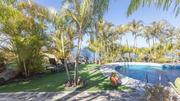 A pool area with palm trees, a stone pathway, and a view of the ocean.