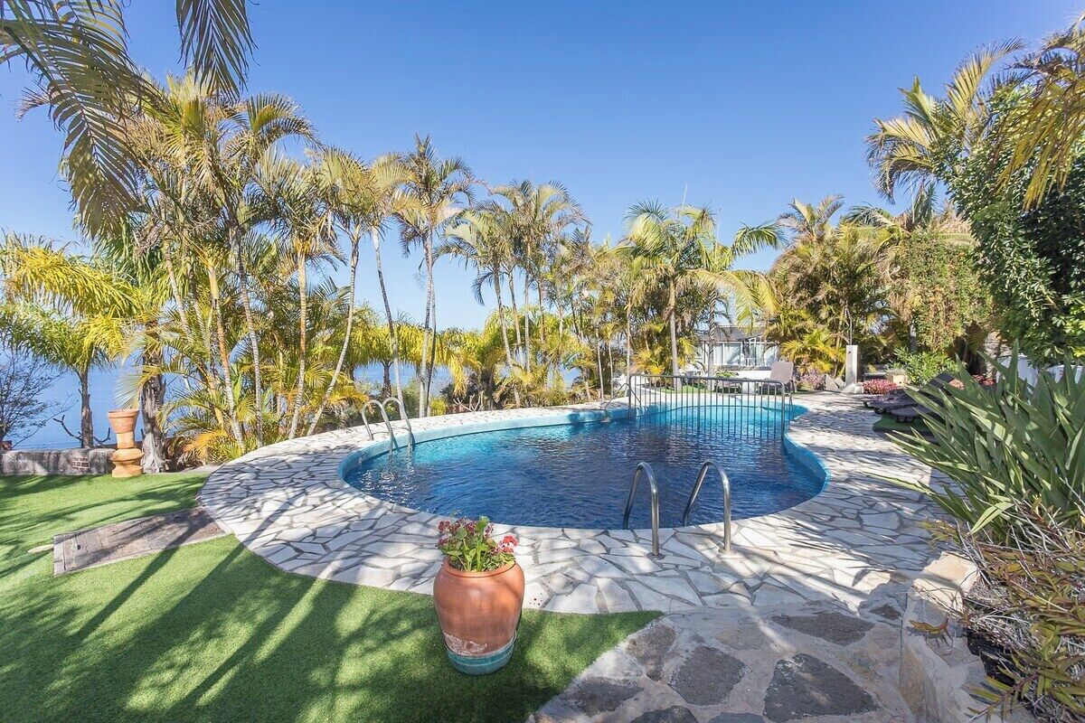 Una piscina rodeada de palmeras y una terraza de piedra.