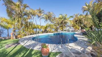 Una piscina rodeada de palmeras y una terraza de piedra.