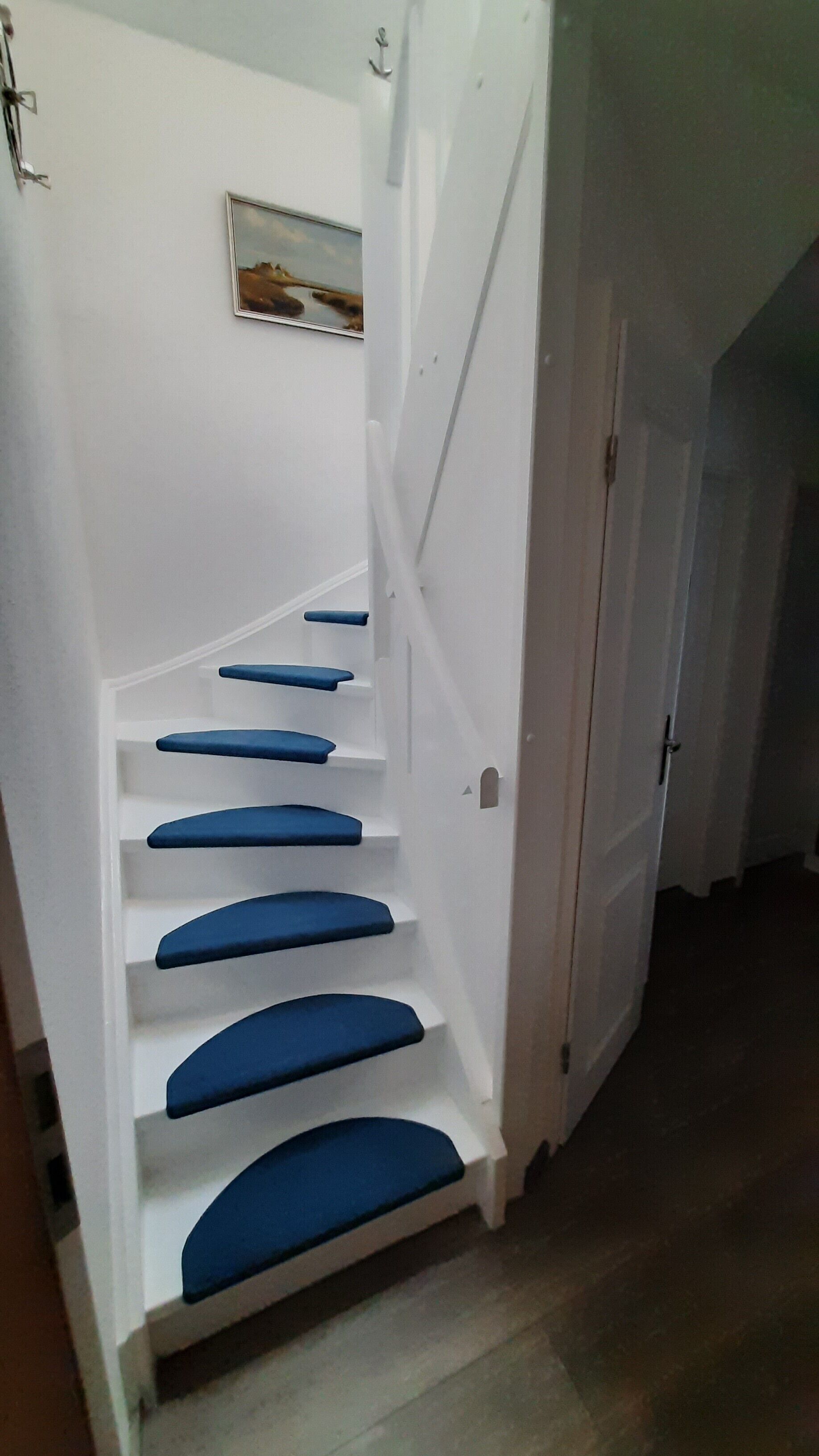 A staircase with blue steps leading to a landing.