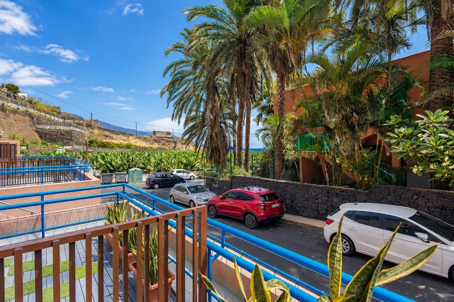 A parking area with cars, a blue railing, and palm trees.