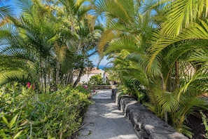 A pathway flanked by lush greenery and a stone wall, leading towards a building with a tiled roof. - GuestReady - Colon I 11 2 pax (Los Quemados)