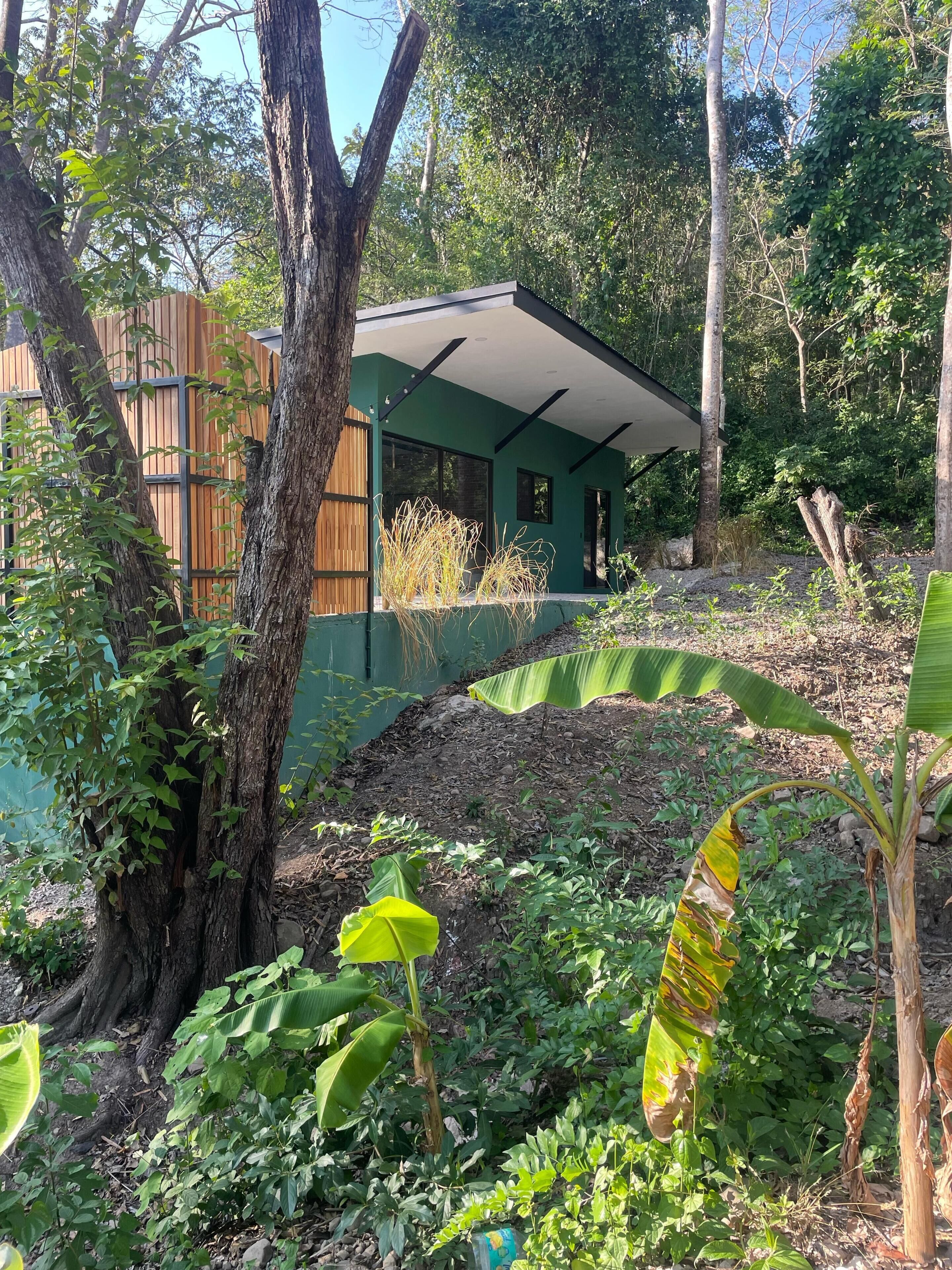 Un bâtiment moderne à la façade verdoyante, entouré d’une végétation luxuriante et d’arbres.