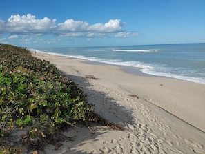 A beach with a sandy shore, waves, and a clear sky. - Sleeps 24. Three houses on 1.2 acres of ocean front property. (Melbourne Beach)