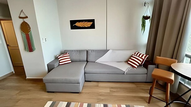 Una sala de estar moderna con un sofá seccional gris, almohadones a rayas, una planta colgada en la pared y una alfombra a rayas.