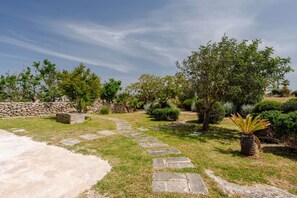 A landscaped garden with a stone pathway, various shrubs, and a palm tree.