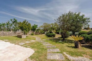 A garden with a stone pathway, various shrubs, and a palm tree.