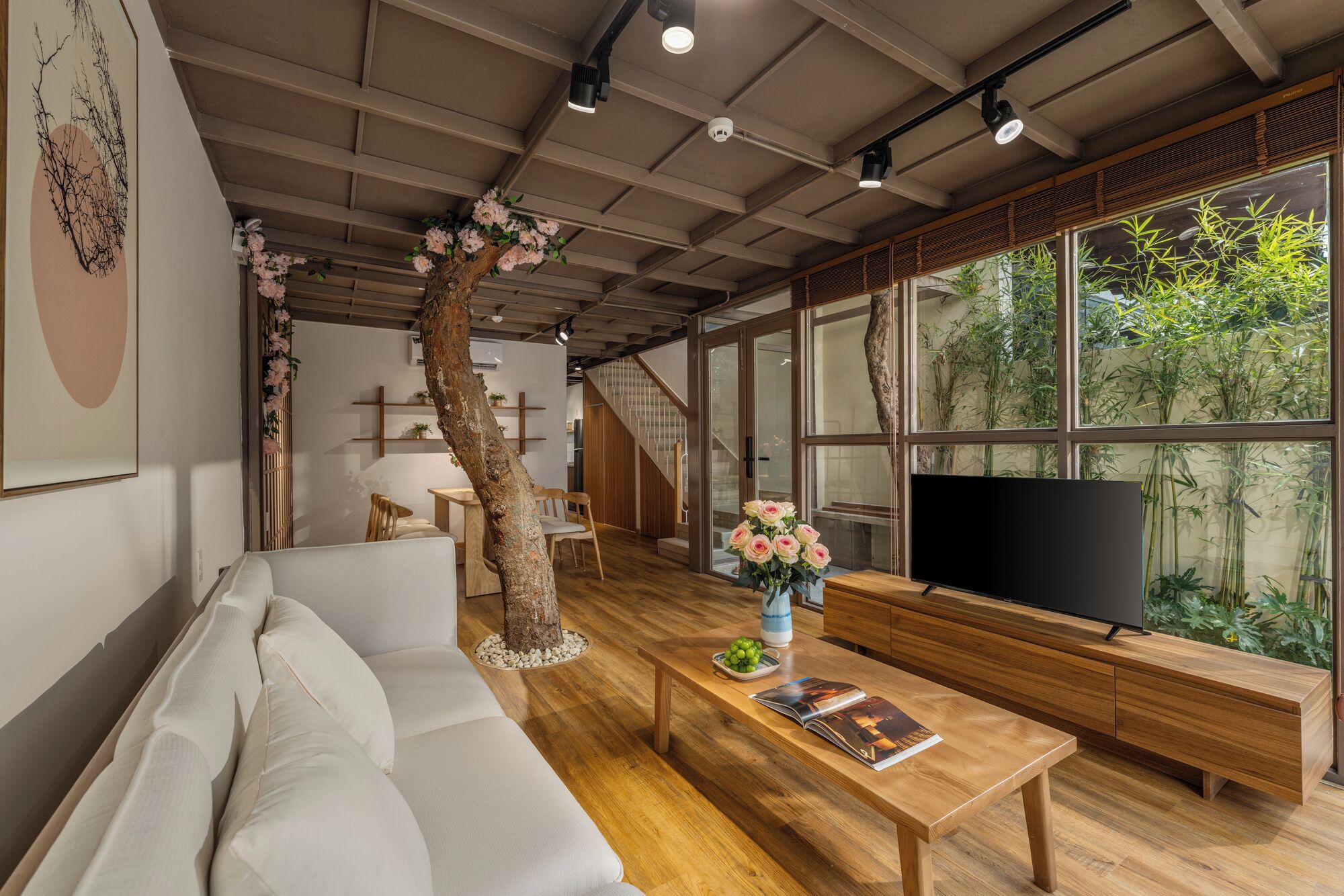 Smart TV