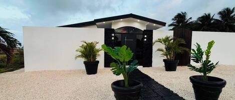 A modern building entrance with a black door, surrounded by potted plants on a gravel surface.