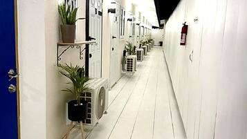 A corridor with white walls, doors, and potted plants.