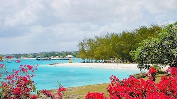 Un paisaje costero con playa, agua azul cristalina y abundante vegetación.