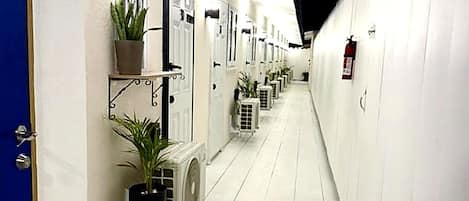 A corridor with white walls, doors, and potted plants.