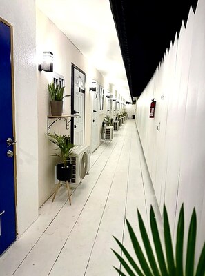 A corridor with white walls, doors, and potted plants.