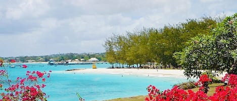 A coastal landscape with a beach, clear blue water, and lush greenery.